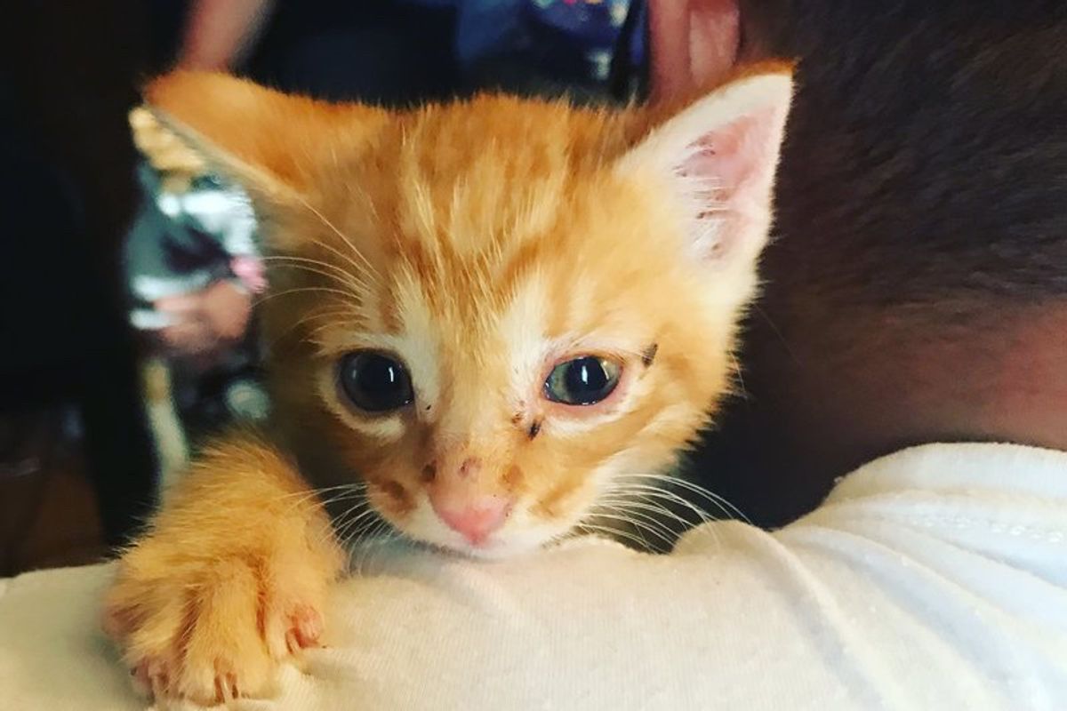 Son Tells Mom He’s Coming Home With A "Guest" — "I thought a new girlfriend. Nope. This little guy!"