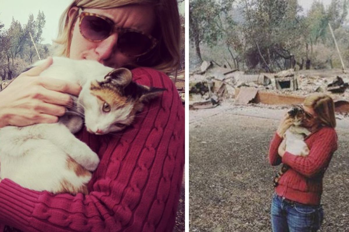 Woman’s Home Completely Destroyed in Wildfire But She Finds Her Cat—“It was really surreal!”