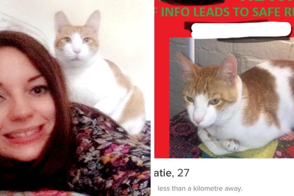 Woman Uses Dating App Tinder to Track Down Her Missing Cat...