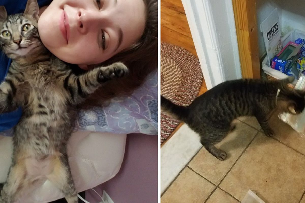 Guy Doesn't Believe Girlfriend's Cat Put Missing Kitchen Items On Bed — She Sends Photos to Prove It!