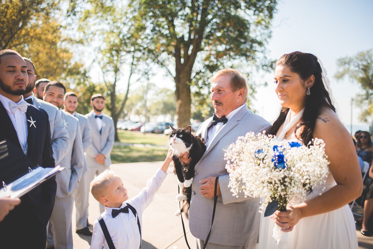 Cat Who Never Leaves His Mom, Walks Her Down the Aisle In These Beautiful Photos