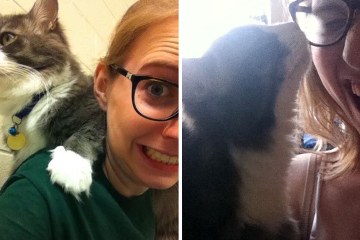 Woman Went to Shelter to Just Volunteer But Came Out with Cat Clung to Her Shoulder…