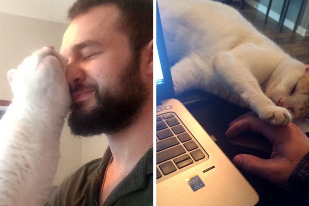 Guy Asked If He Has “Issues With Personal Space” During Job Interview, Now He Knows Why!