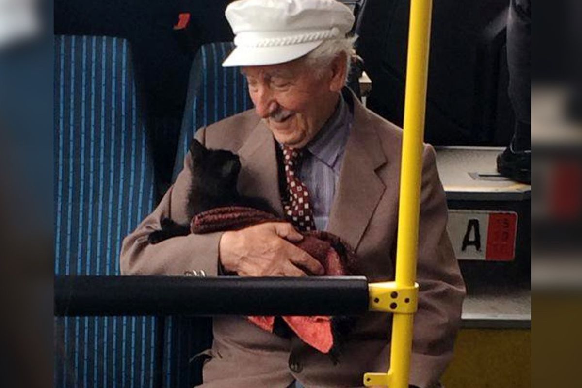 Grandpa Cuddling With Kitten on a Bus Warms Everyone's Heart - Beautiful Photo...