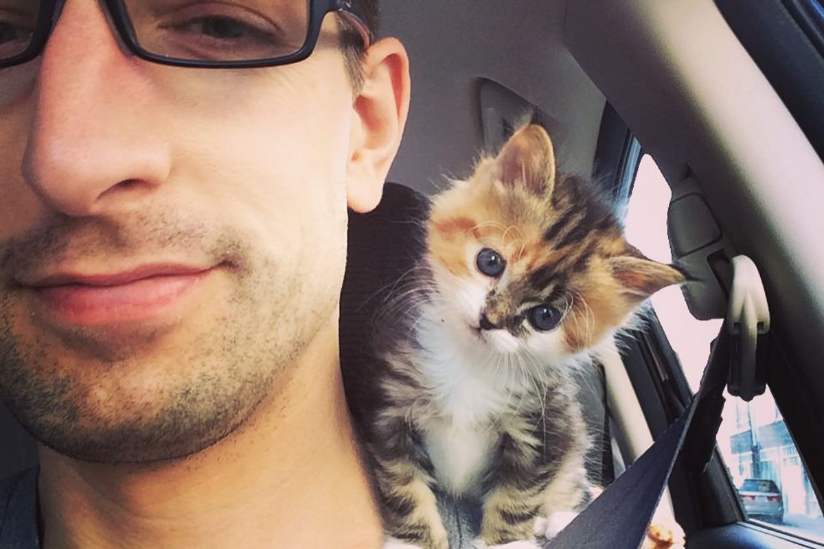 Former Marine Saves Little Calico Kitten Who Is In Need of Motherly Love...