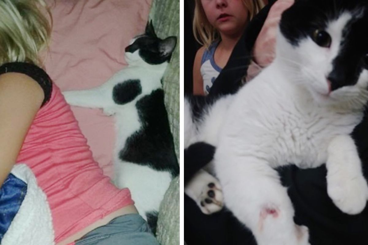 Heroic Cat Saves His Human Sister From Being Bitten by Rattlesnake