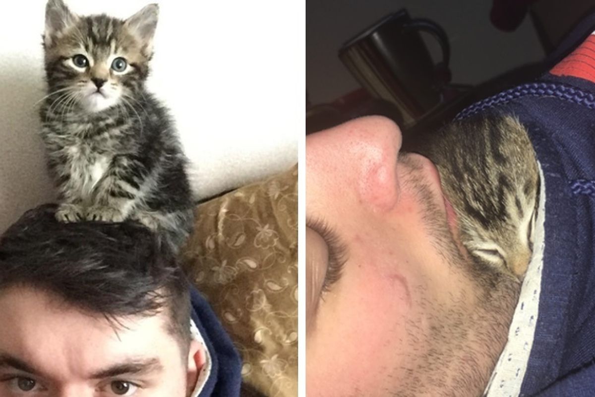 Man Gave Kitten a Home and The Kitty Replaced His Personal Space With Cuddles