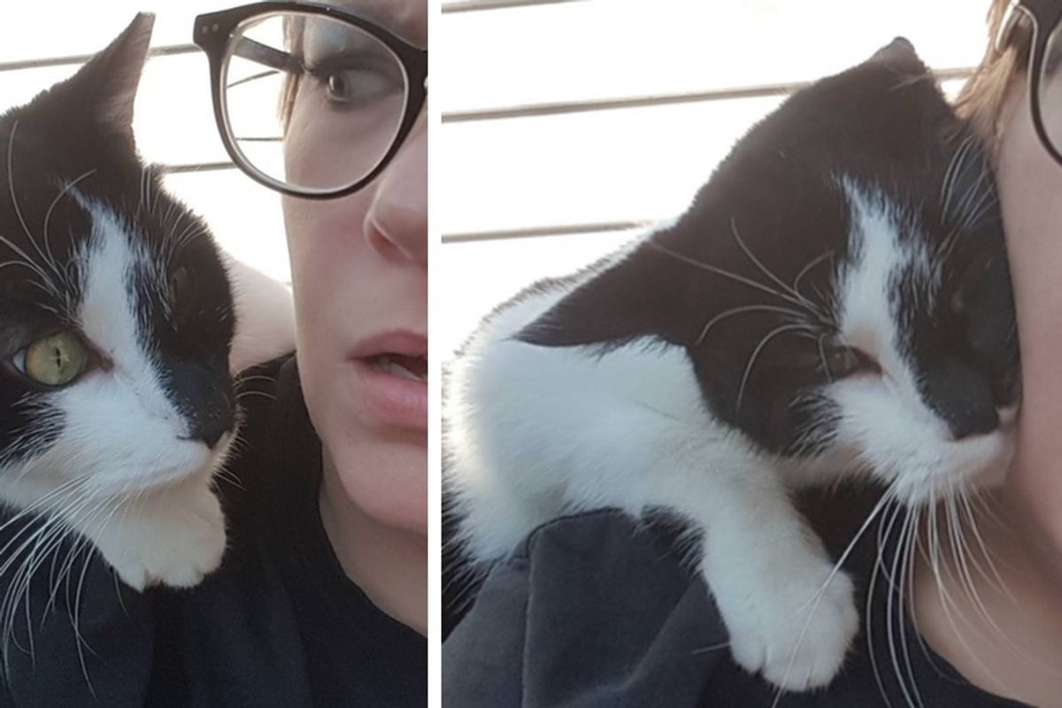 Neighborhood Cat Jumps On Woman's Shoulder for a Cuddle and Won't Let Her Go