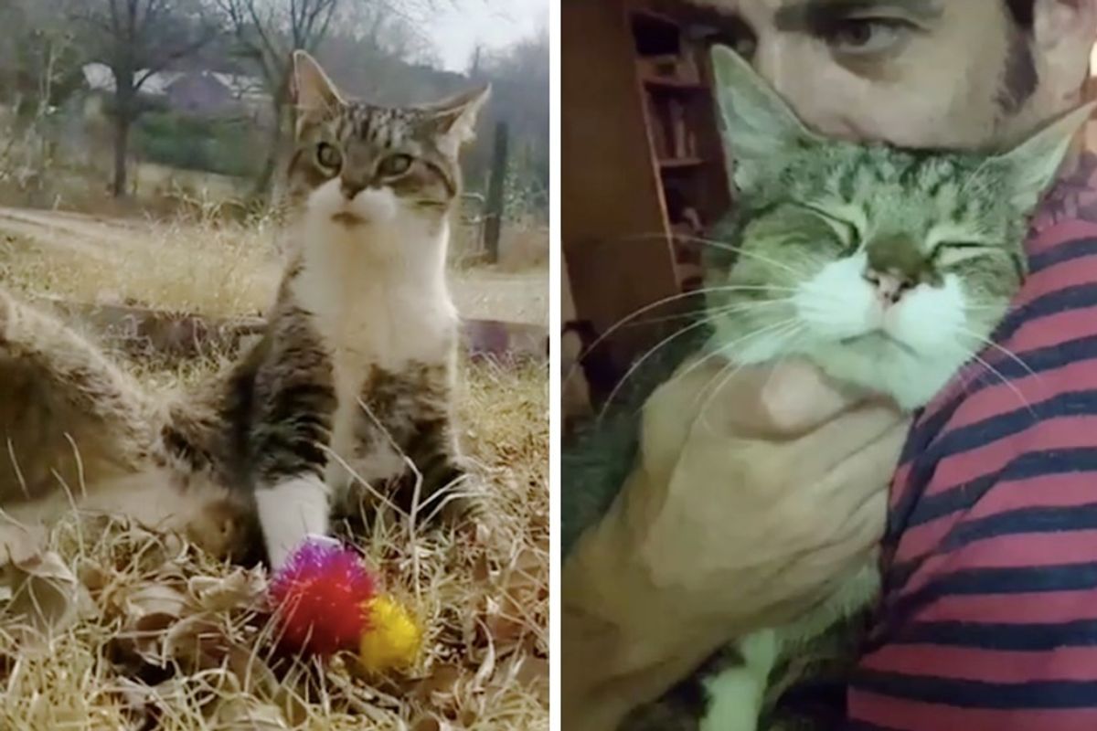 Wobbly Cat Given Up to Shelter Finds Someone Who Loves Him Just the Way He is.
