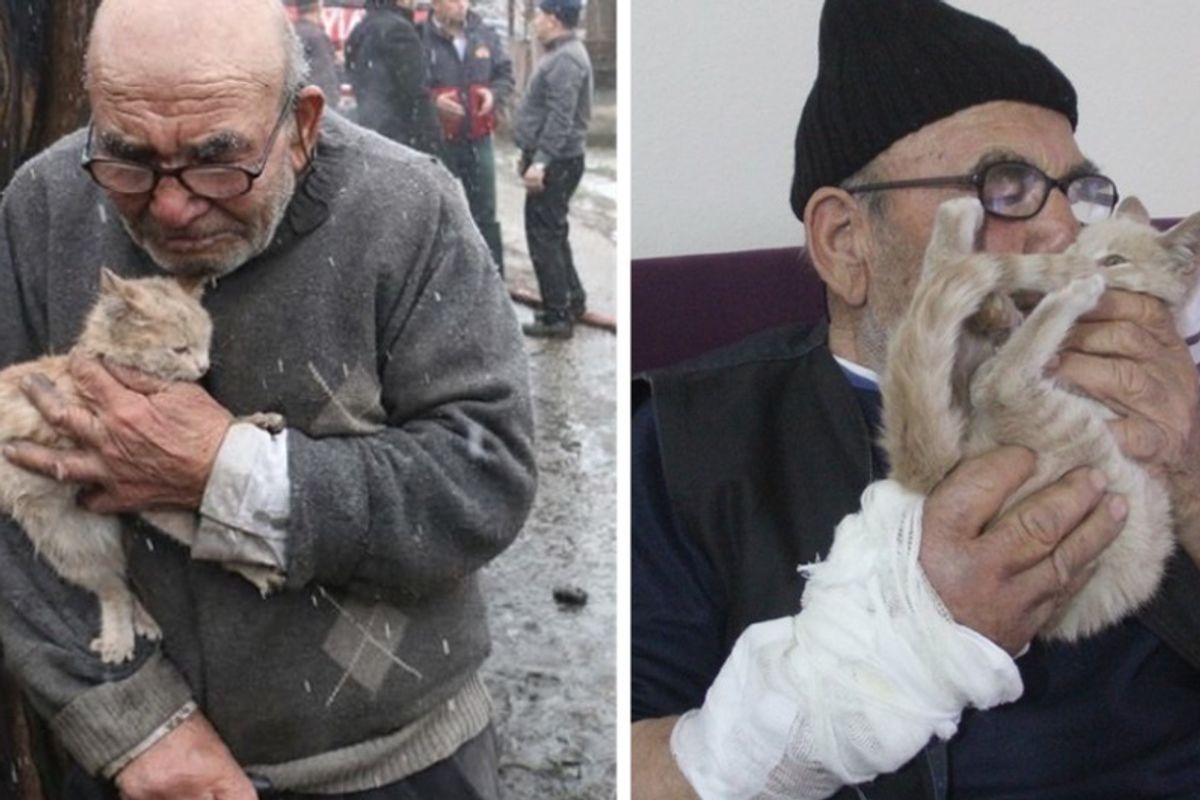 Elderly Man Held His Beloved Kitten After Losing Everything to Fire, Now Has a Safe and Warm Place