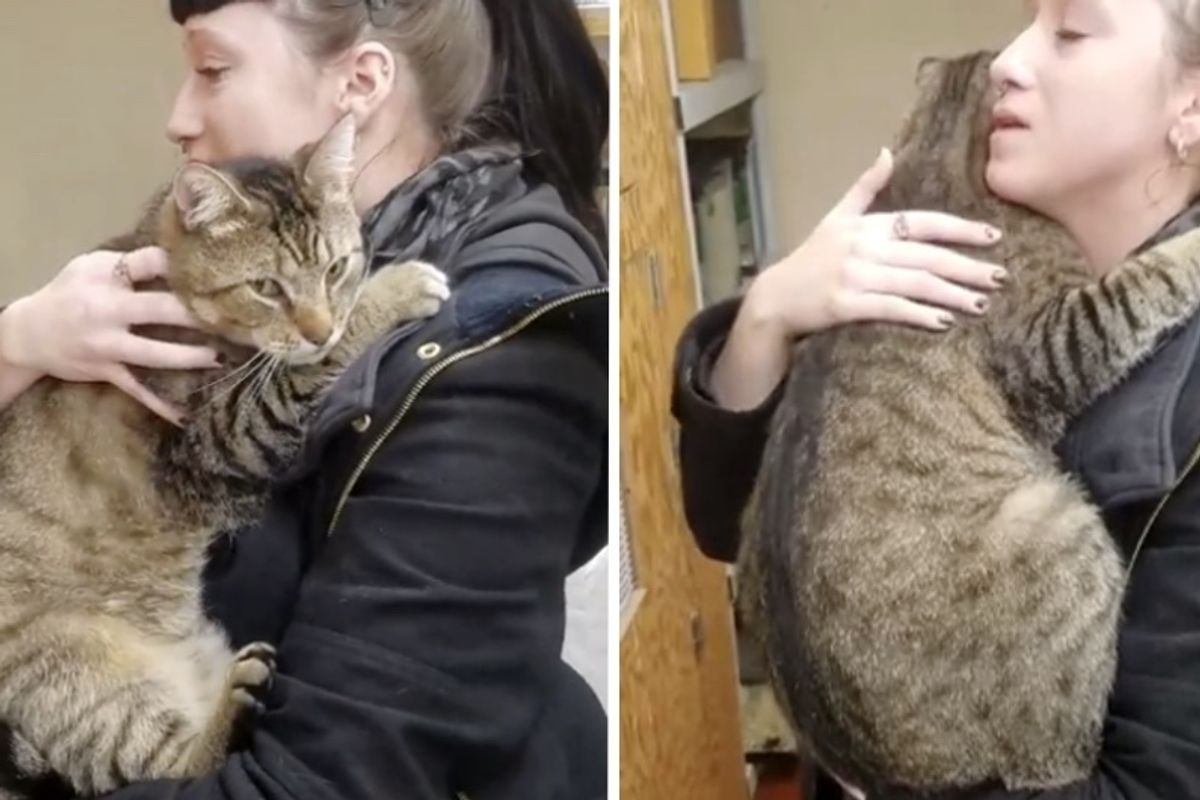 Couple Went to Visit Cats and One of Them Clutched onto the Woman and Wouldn't Let Go.