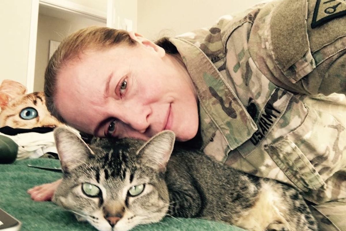 Cat Travels with Soldier Everywhere She Goes and Never Leaves Her Side for 4 Years.