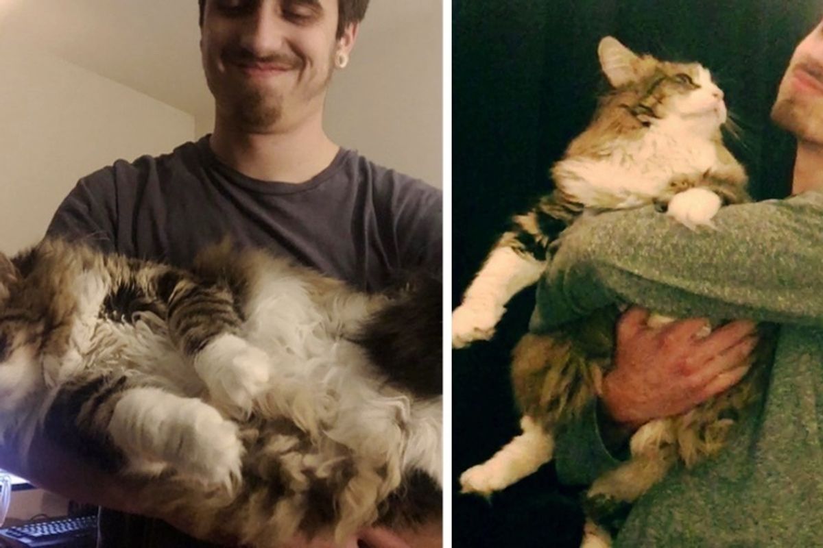 Man Who Grudgingly Accepted Getting a Cat, Now Holds Her All the Time.