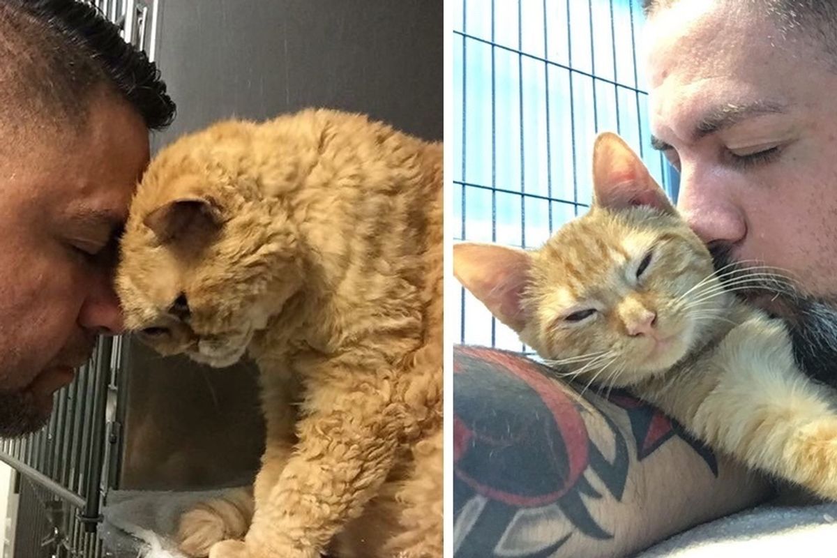 Man Has Best Job Where He Saves Cats and Kittens and Gives the "Unadoptable" a Chance at a Better Life.