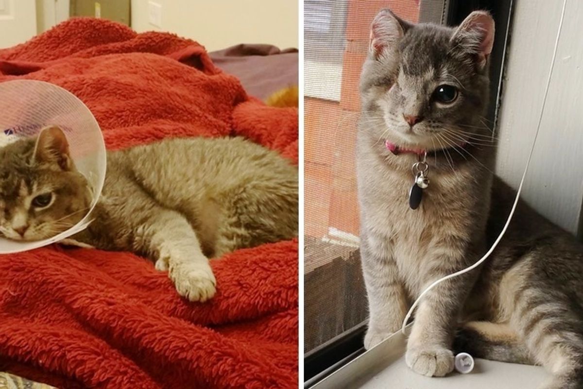 Scaredy Cat Saved From a Tree During Storm, Lost an Eye but Found Someone She Loves.