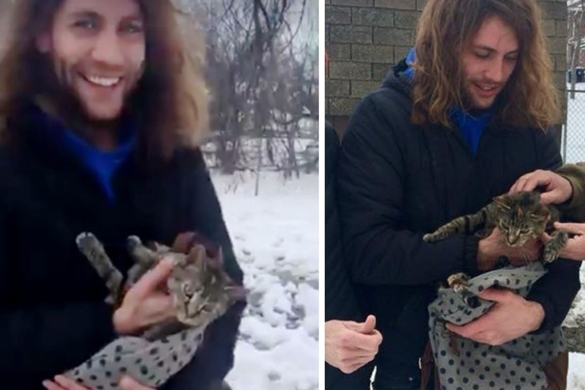 Man Came to Save Cat Stranded in Tall Tree After No One Responded for 9 Days.