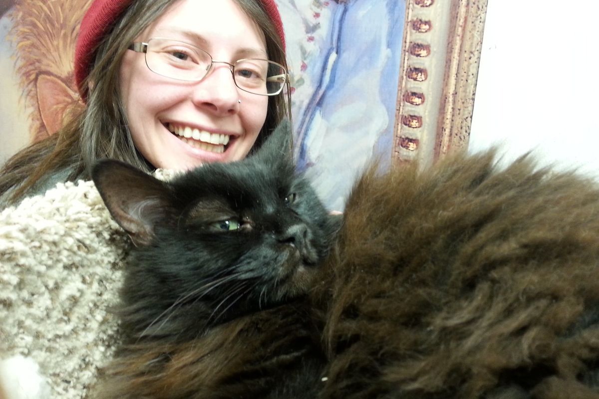 Woman Asks Shelter for the Least Adoptable Cat and Finds Grumpy Kitty Waiting for Her.