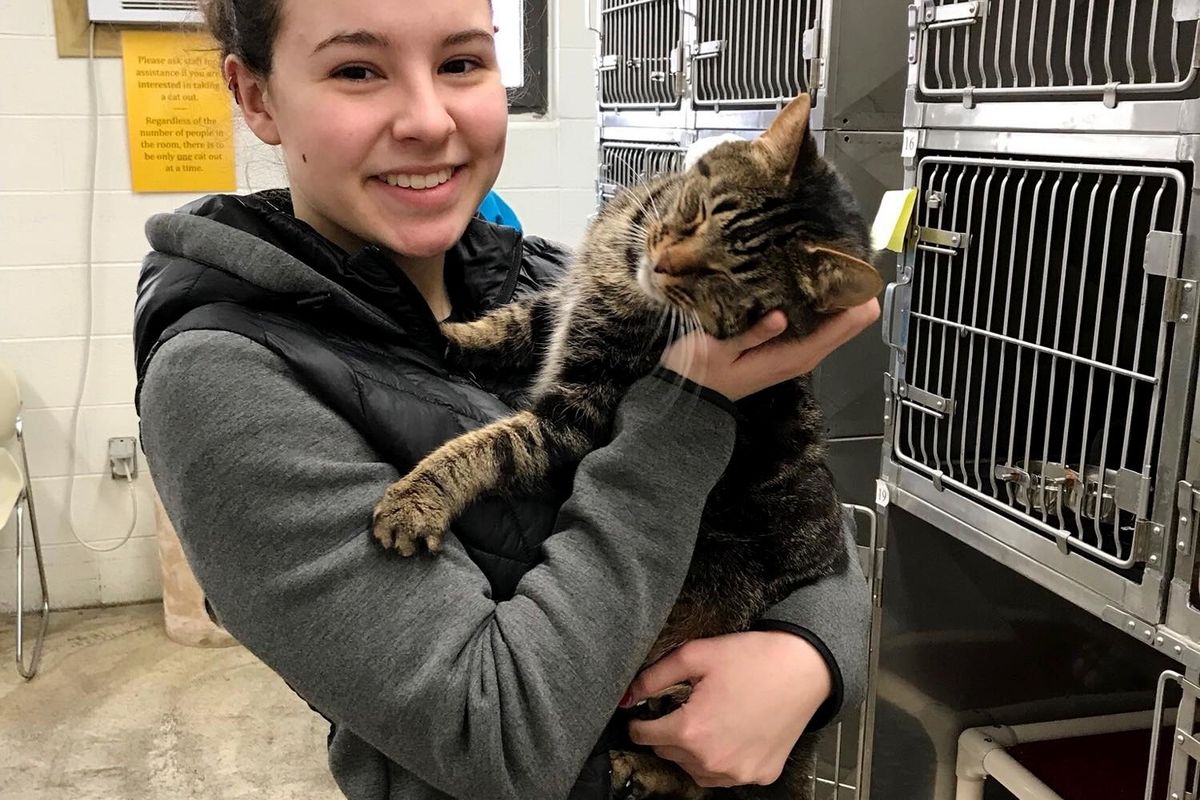 Cat is So Happy When Woman Comes to the Shelter for Him - He Won't Let Her Go.