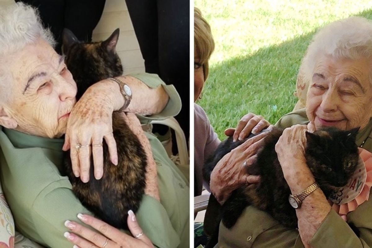 103-year-old Woman Finds Her Perfect Companion After the Loss of Her Beloved Cat.