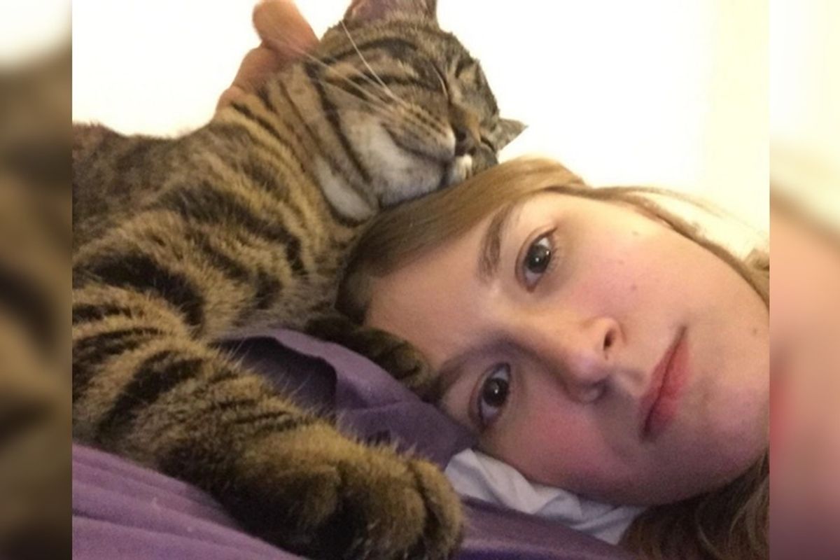 Couple Saves Stray Kitten Abandoned in the Woods, the Kitty Won't Stop Cuddling.