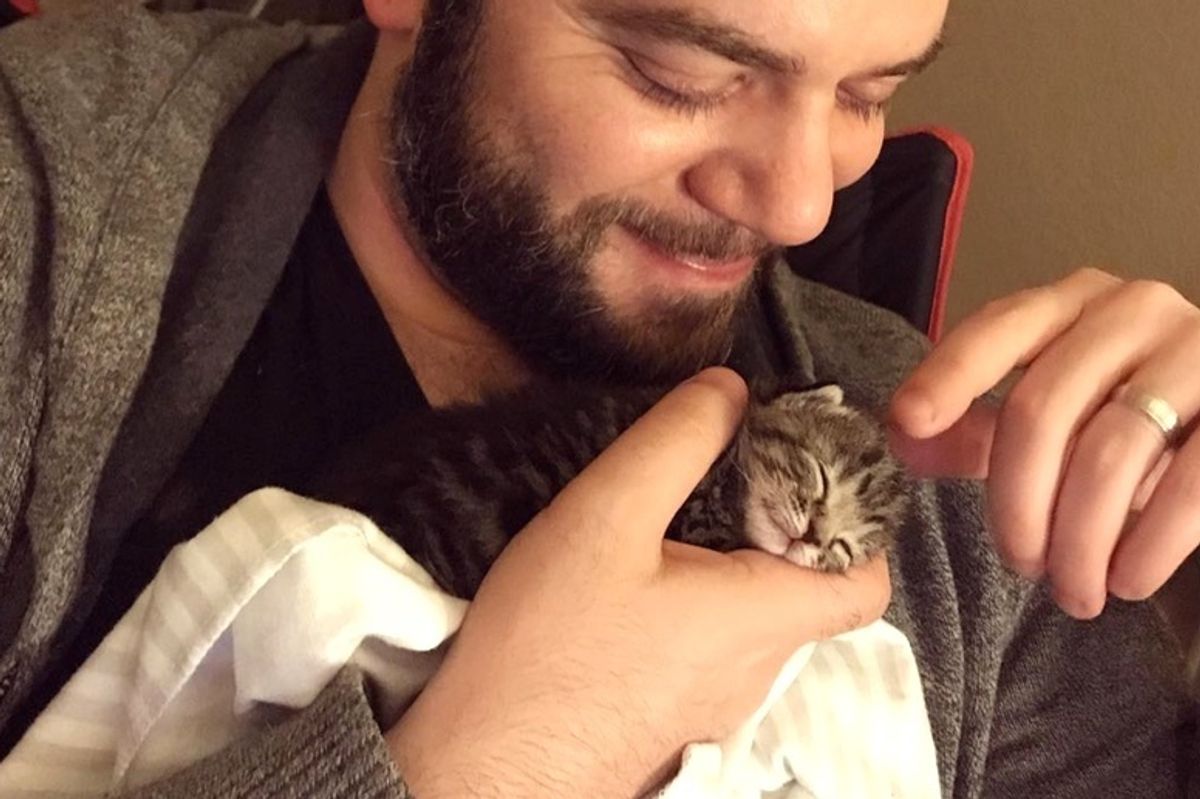 Worker Heard Kitten Meows Coming From Packaging Box and Found Tiny Kitty In Need of Love