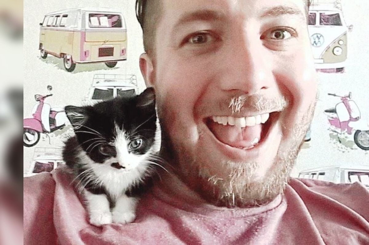 Kitten that No One Expected to Live to See Her First Birthday, Surprises Them All