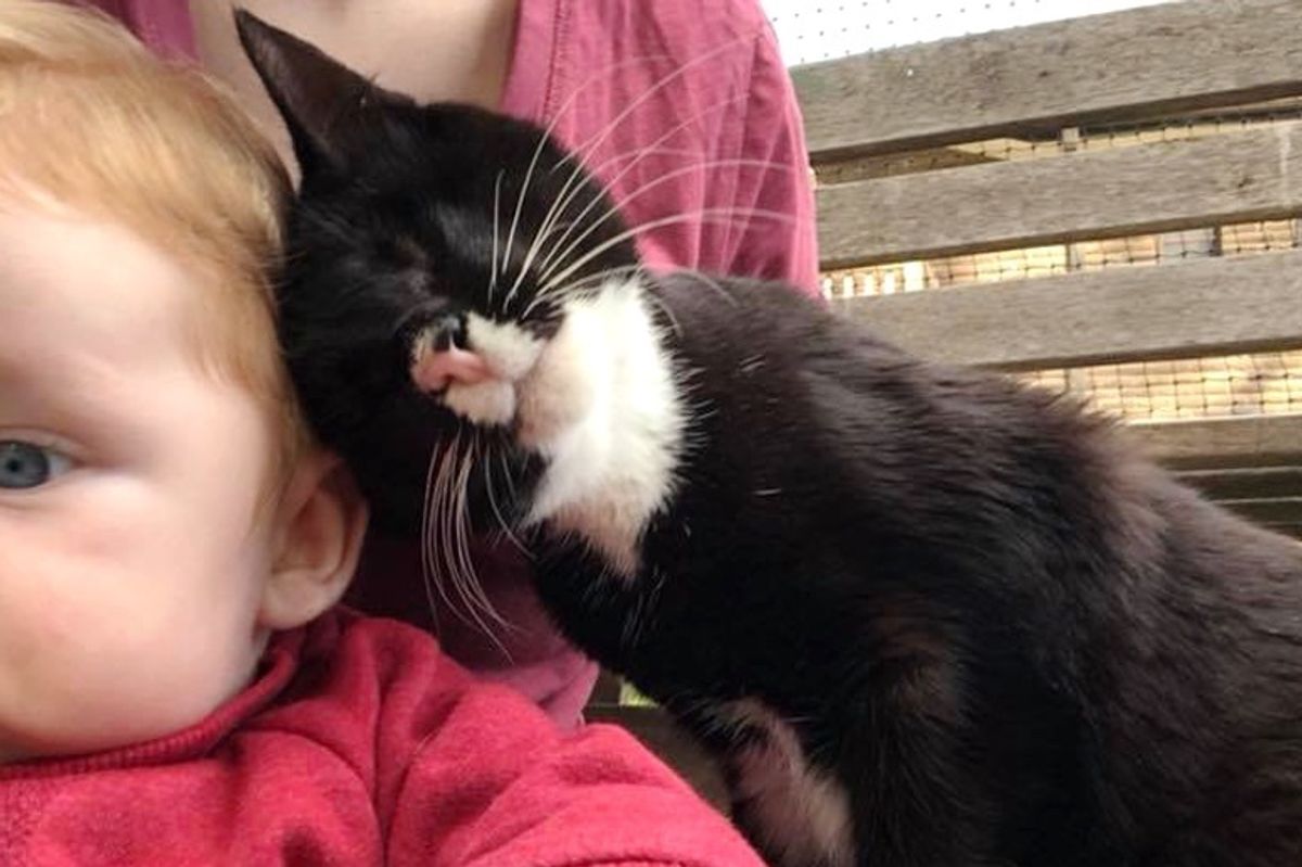Blind Kitten Found Alone on Streets Can't Stop Giving Love and Cuddles for Saving Her Life