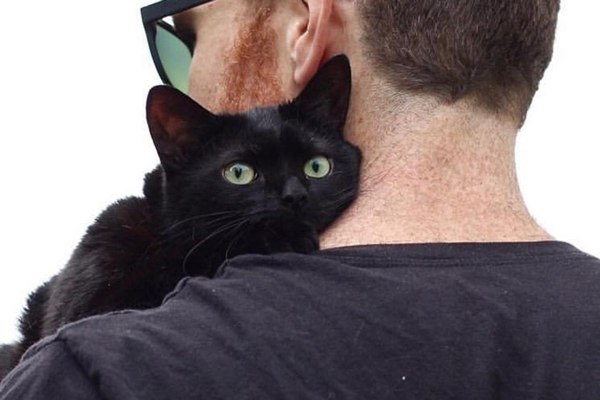 Shelter Cat Waited Months for Home, Hops on Man's Lap and Won't Let Him Go