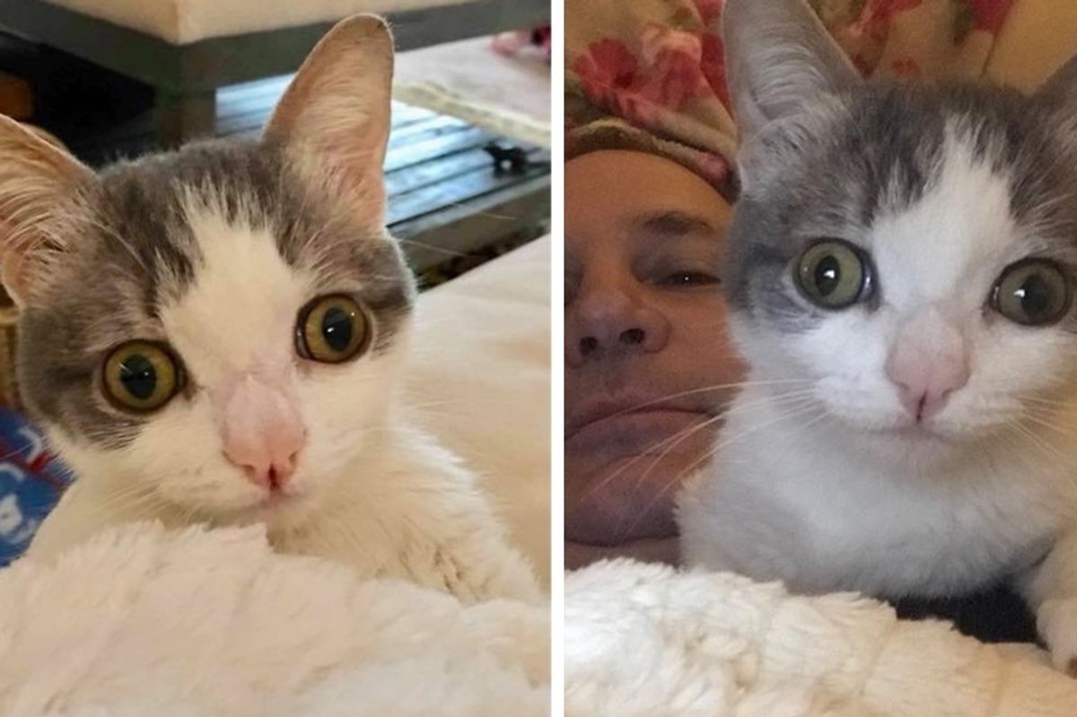 Woman Rescues Cat Born Special and Finds Her a Home She's Been Waiting for