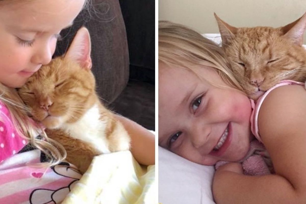 Woman Gave Kitten a Home, 13 Years Later, He Guards Her Daughter and Listens When She Reads