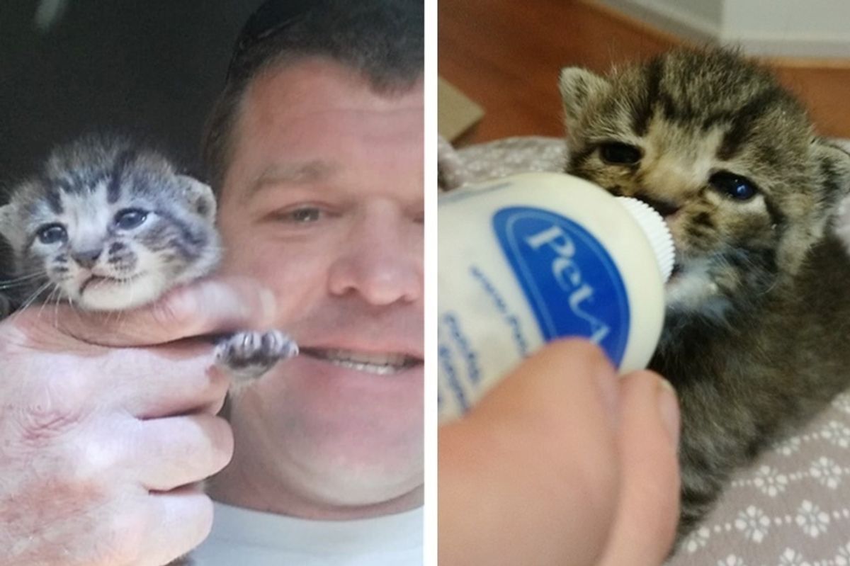 Man Saves Kitten from Run-down Building Before Approaching Hurricane Arrives