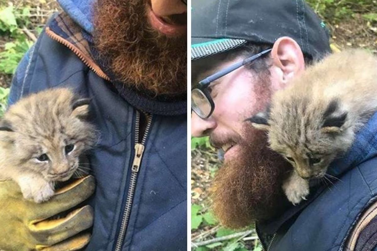 Man Saved What He Thought Was Kitten Until He Saw the Big Paws