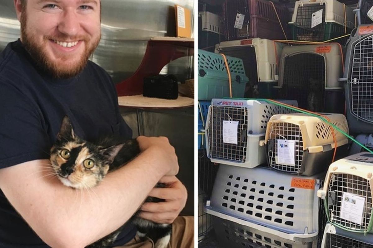 Rescuers Save 15 Cats and 21 Dogs From Shelter Threatened by Hurricane Florence and Leave No Animals Behind