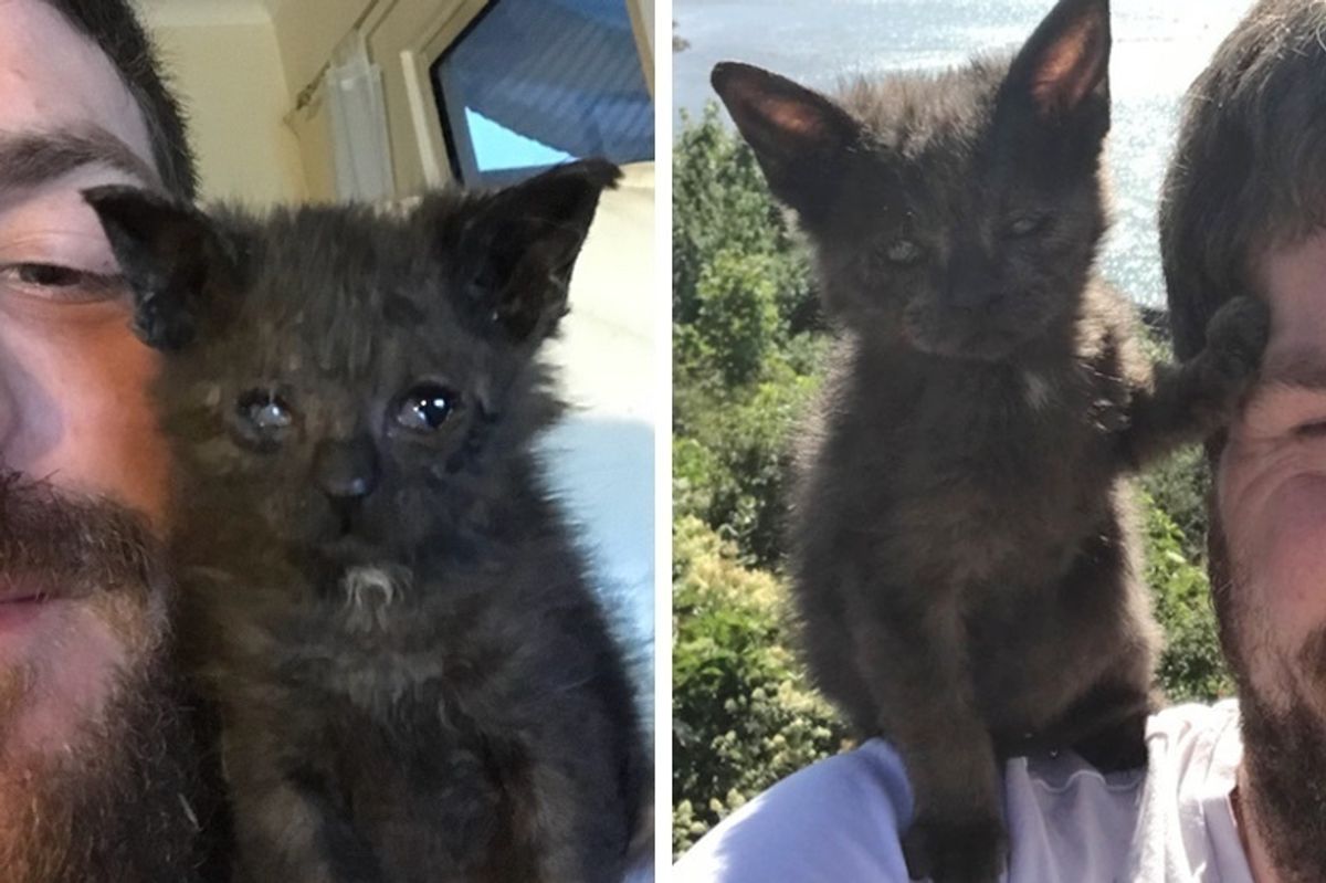 Man Refused to Give Up on Kitten When No One Knew If She Would Survive