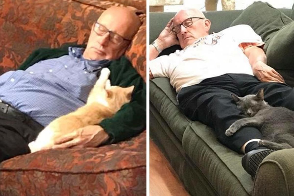 Grandpa Comes to Shelter to Brush Cats and Kittens and Falls Asleep with Them Every Day for 6 Months