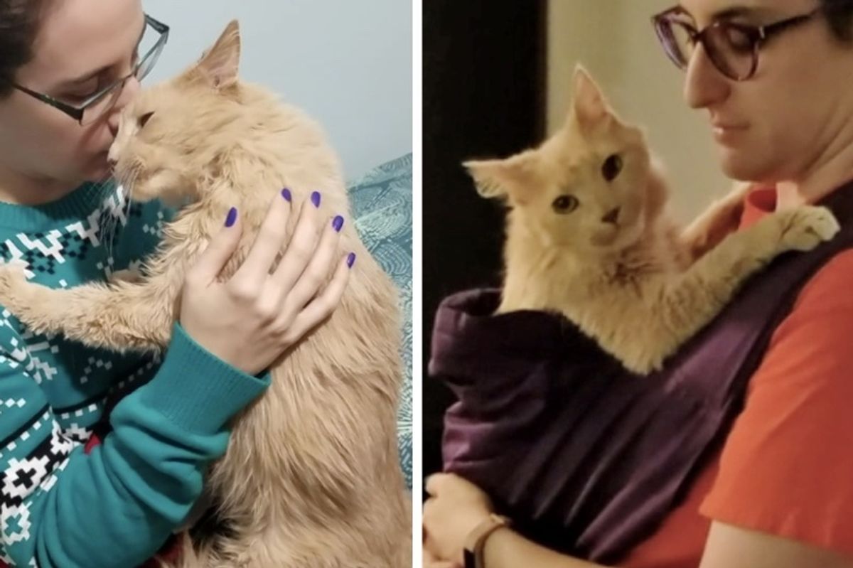 Couple Saves Cat from Shelter, the Kitty Holds onto Them and Won't Let Go