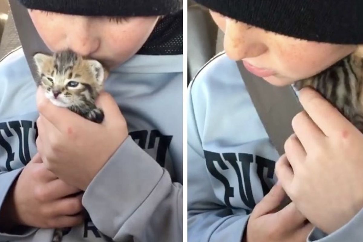 10-year-old Boy Calms Crying Abandoned Kitten and Finds Her a New Cat Mom.