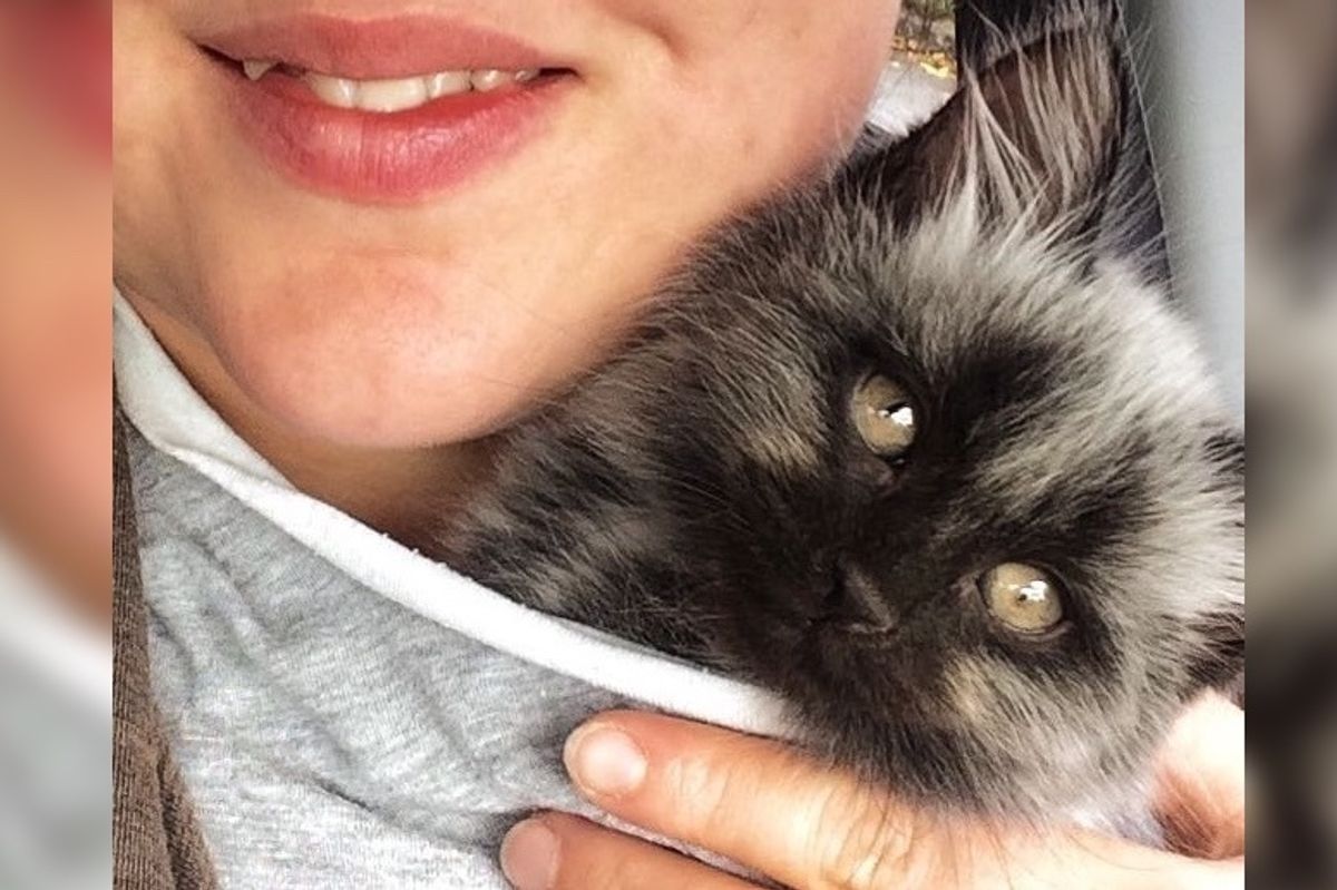 Rescued Kitten With Unusual Colored Fur, Grows Back His True Colors