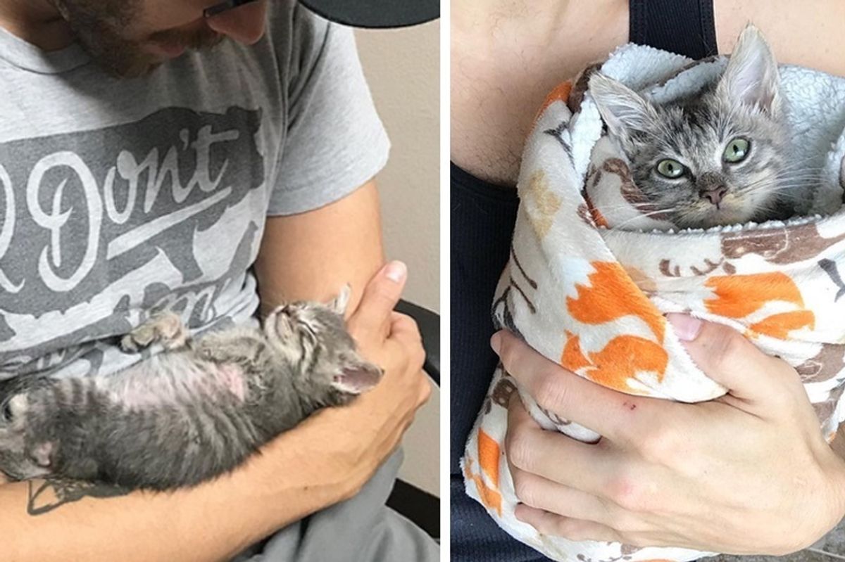 Kitten Has a Condition That Requires Being Held Upright in a Purrito After Every Meal