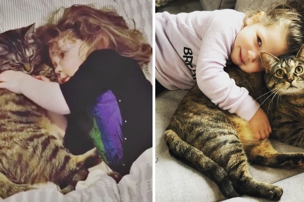 Kitten Falls In Love with Her New Sister and Guards Her Everywhere She Goes