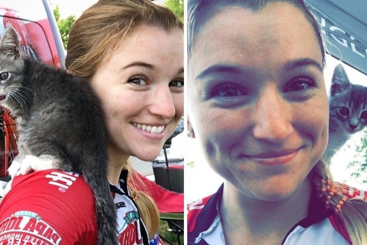 Stray Kitten Climbs onto Cyclist's Shoulder and Insists on Being Adopted