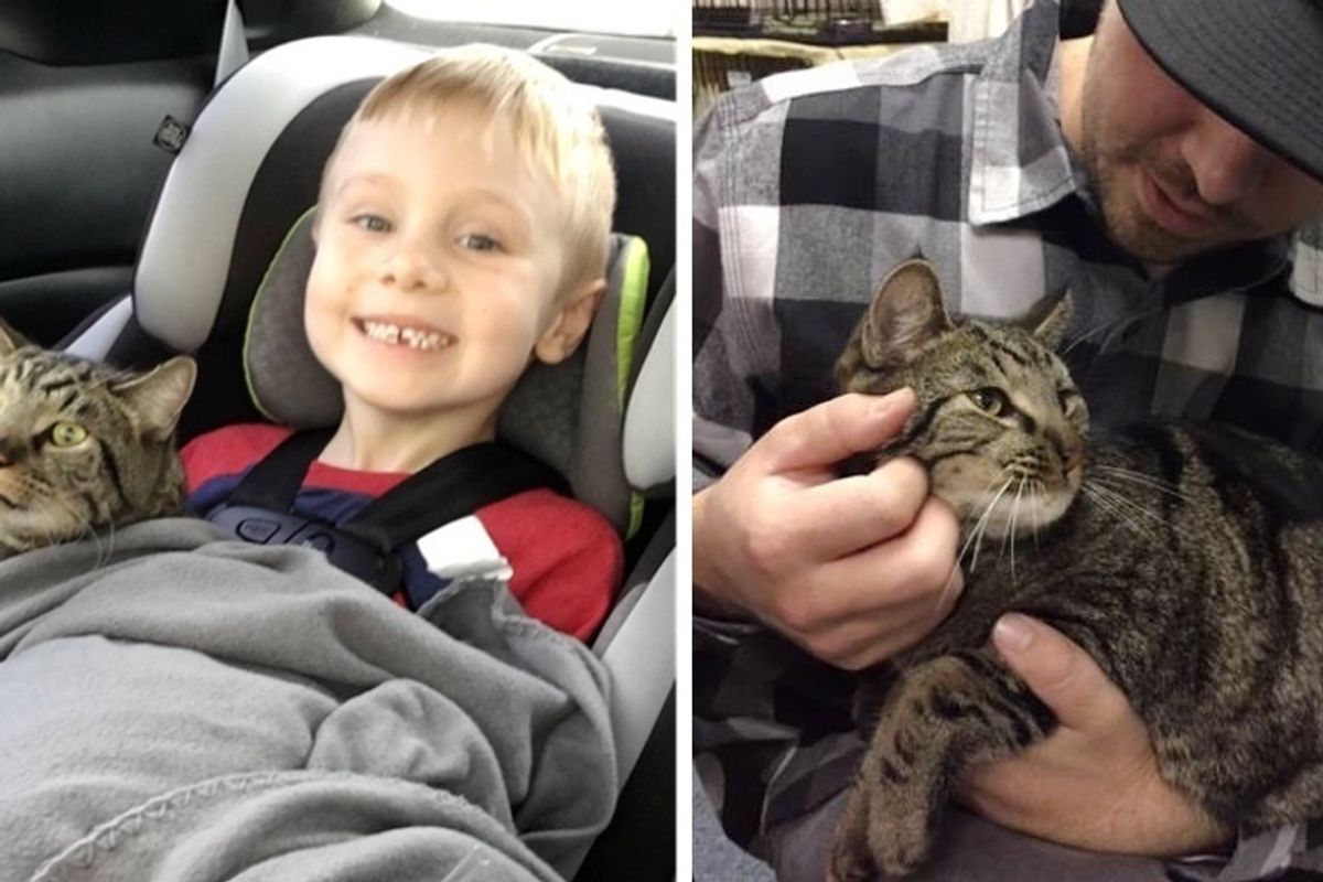 Boy Wrote to Santa About His Lost Cats and Received the Best Gift Ever - He’s Been with Them Since Kittens