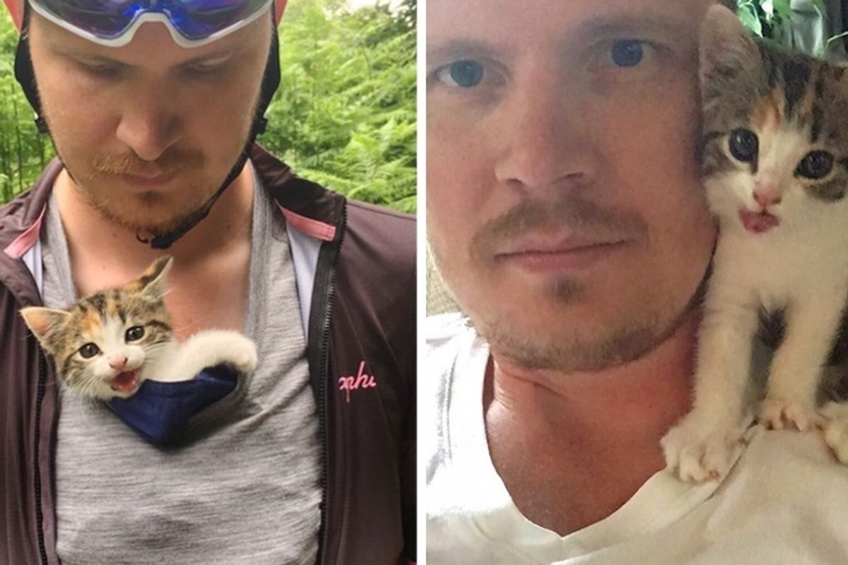 Kitten Found Near Forest All Alone, Climbs on Cyclists and Won't Let Go
