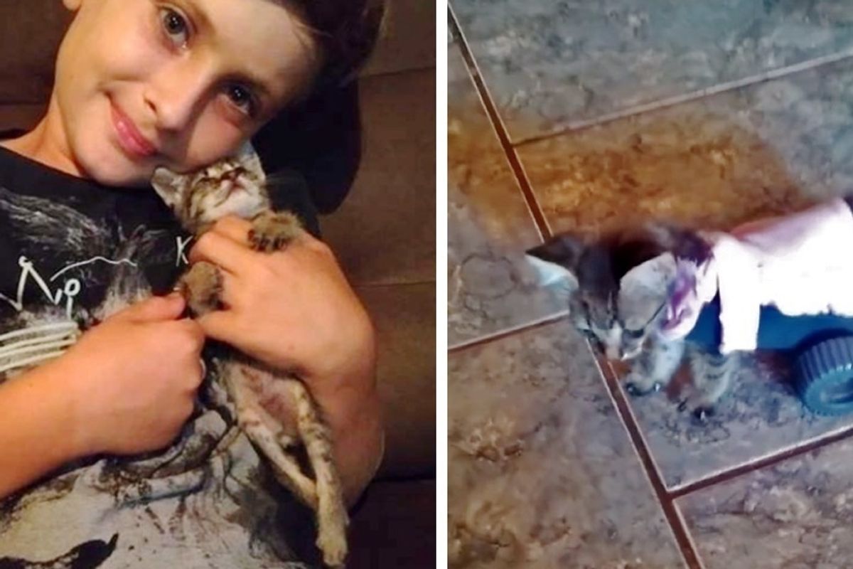 Boy Meets Tiny Kitten Who Can't Walk, and Decides to Turn Her Life Around