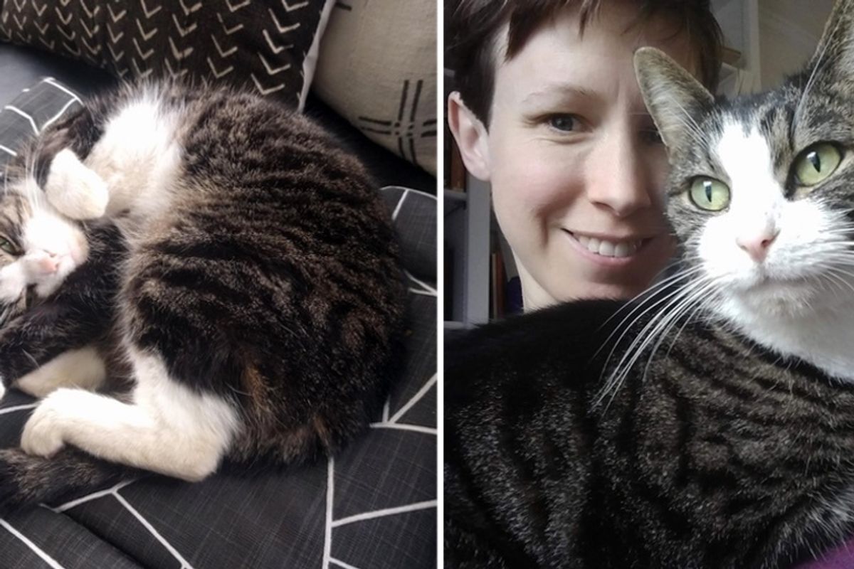 Couple Discovers Their New Home Comes with Cat Who Has Lived There All Her Life