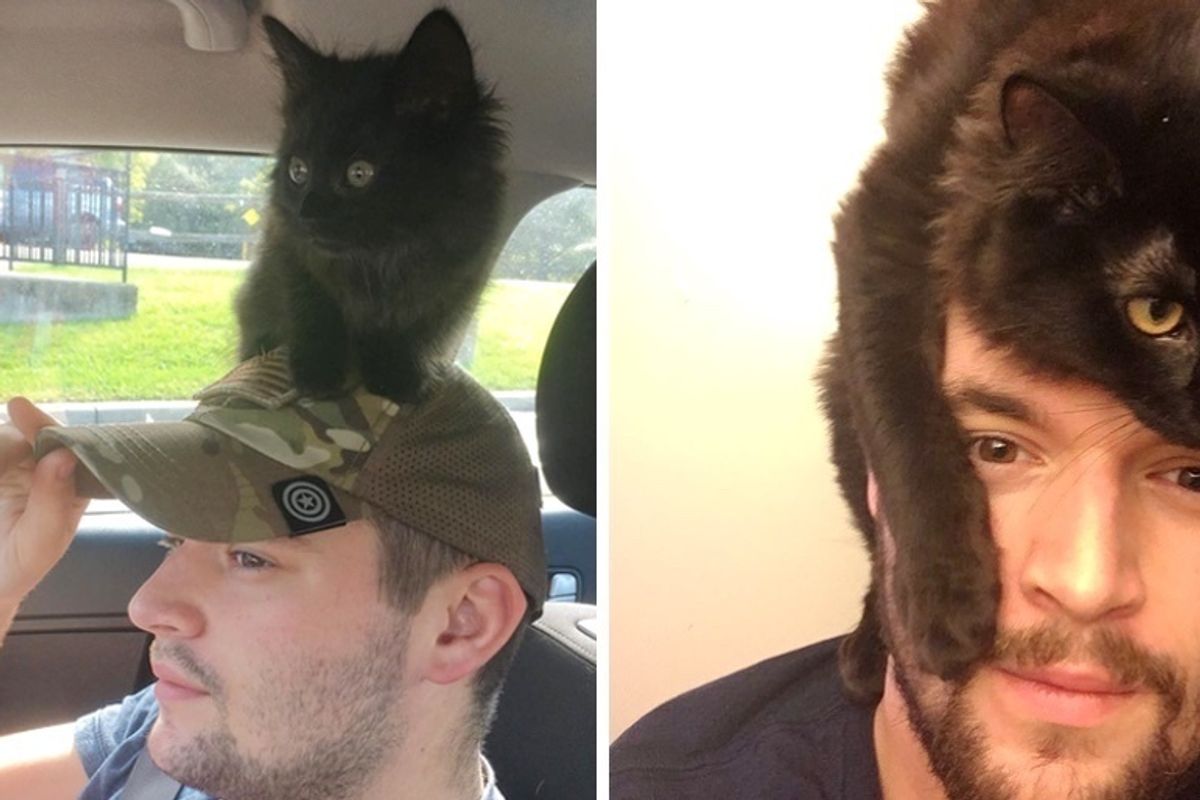 Man Gave Farm Kitten a Home, the Kitty Hopped on His Shoulder and Wouldn’t Leave Him