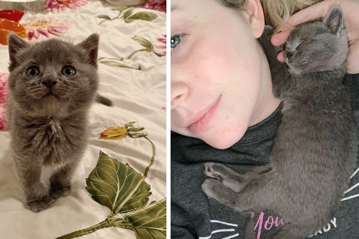 Kitten Cuddles Rescuer and Won't Let Go After She Was Found Alone on Farm