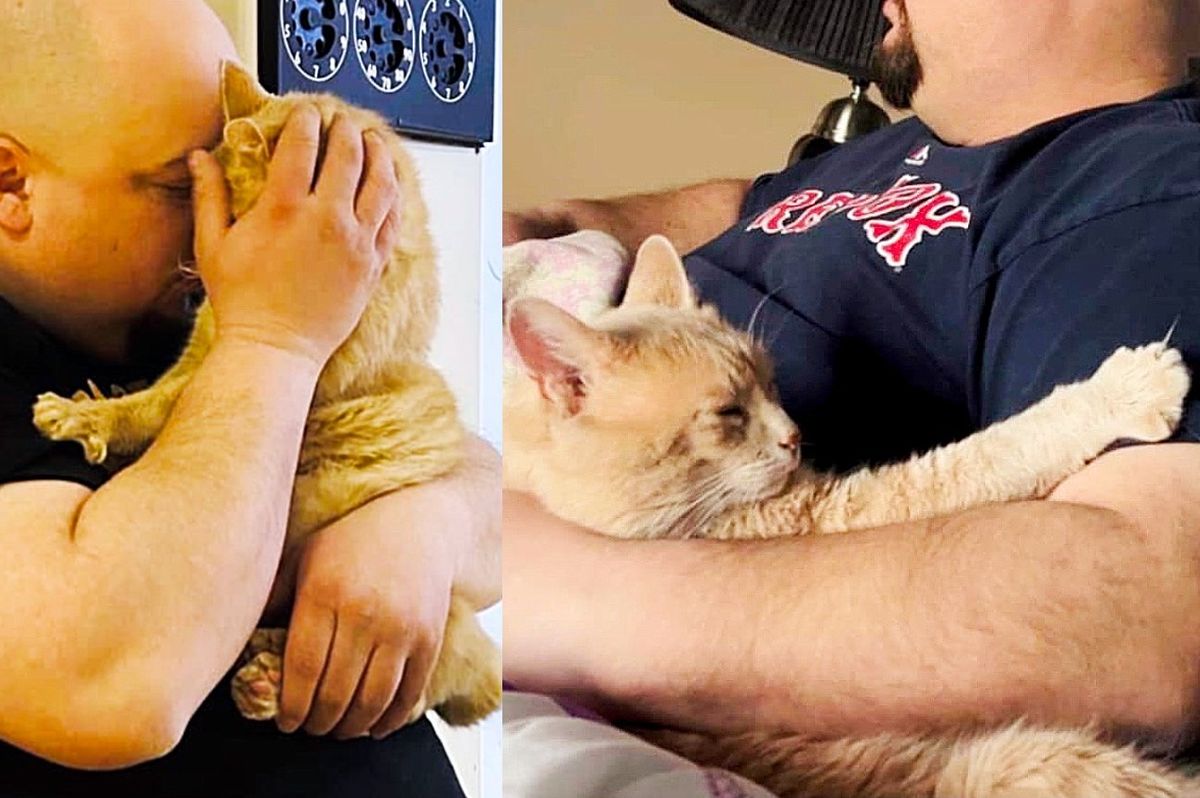 Cat with a Bobtail Ready to Settle Down Indoors, He Chooses Guy Who Doesn't Know He Needs a Cat