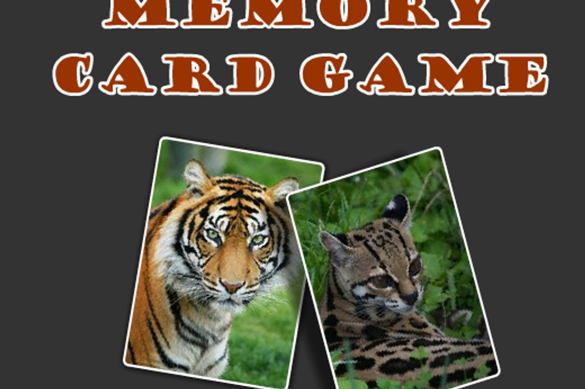 Wild Cats Memory Card Game