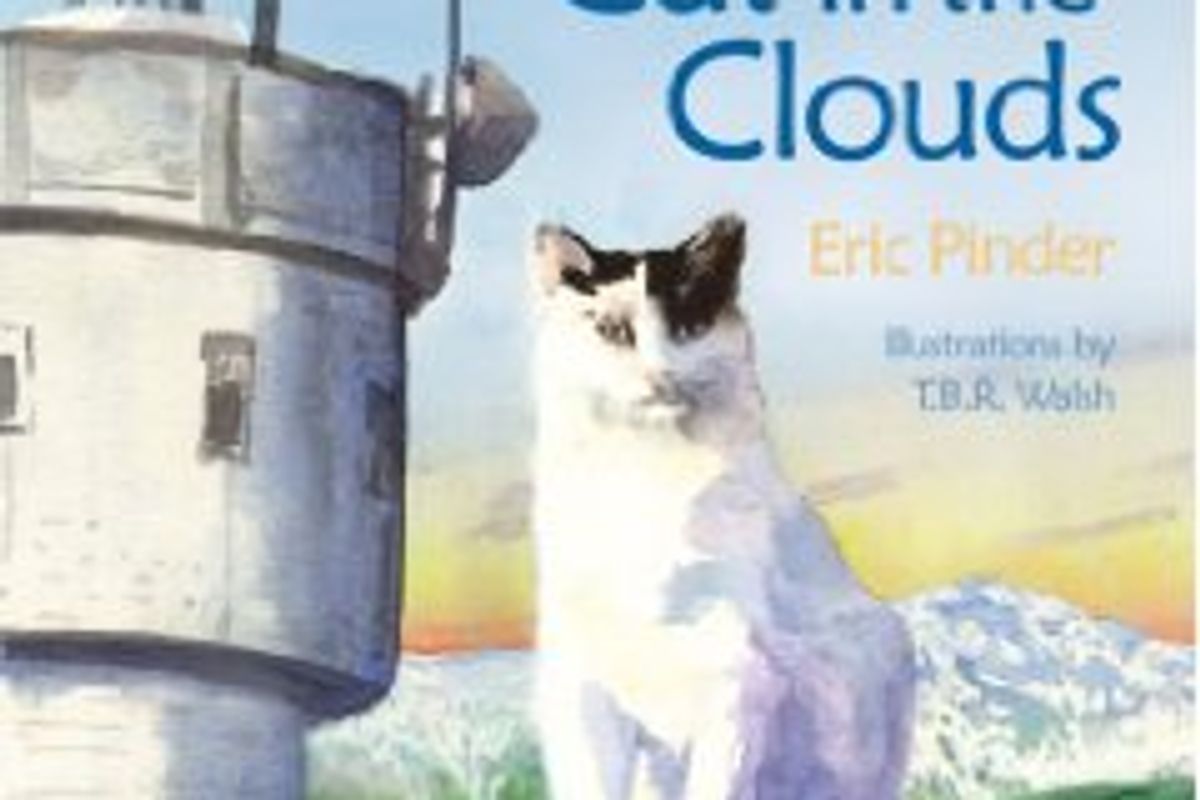 “New Hampshire Mountain Mascot Cat Dies”